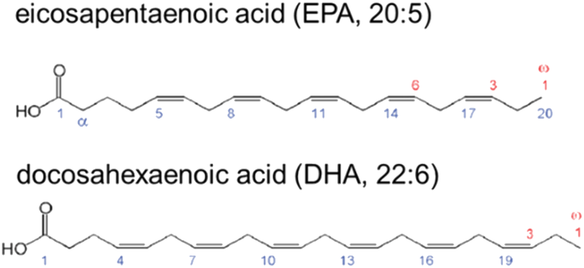 Chemical-structures-of-EPA-and-DHA