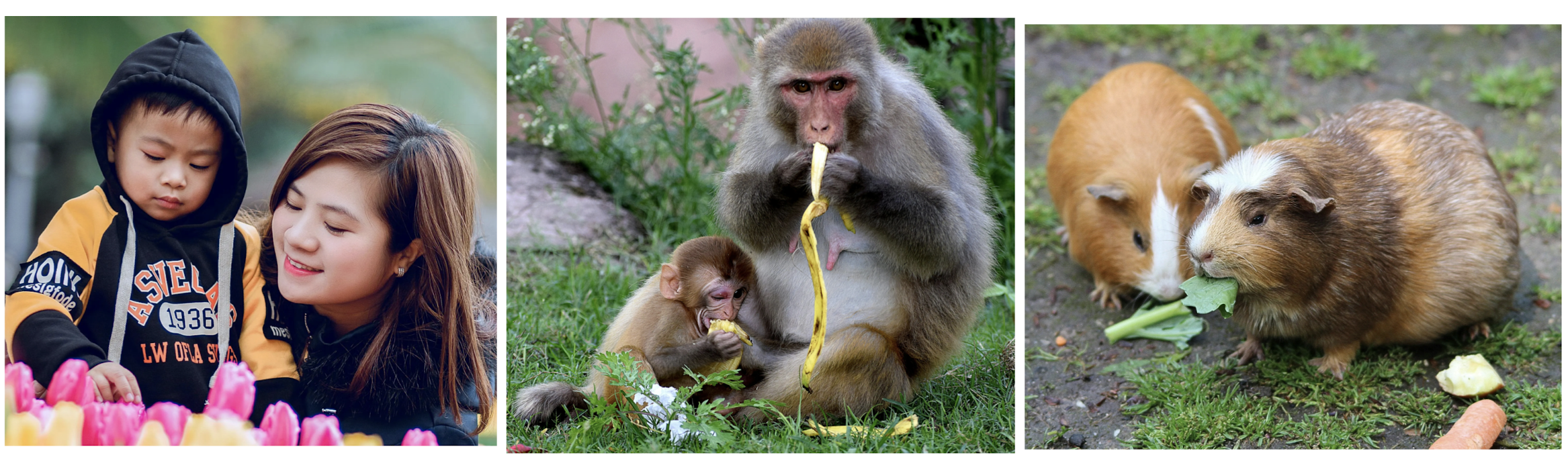 스크린샷 2024-11-18 오후 1