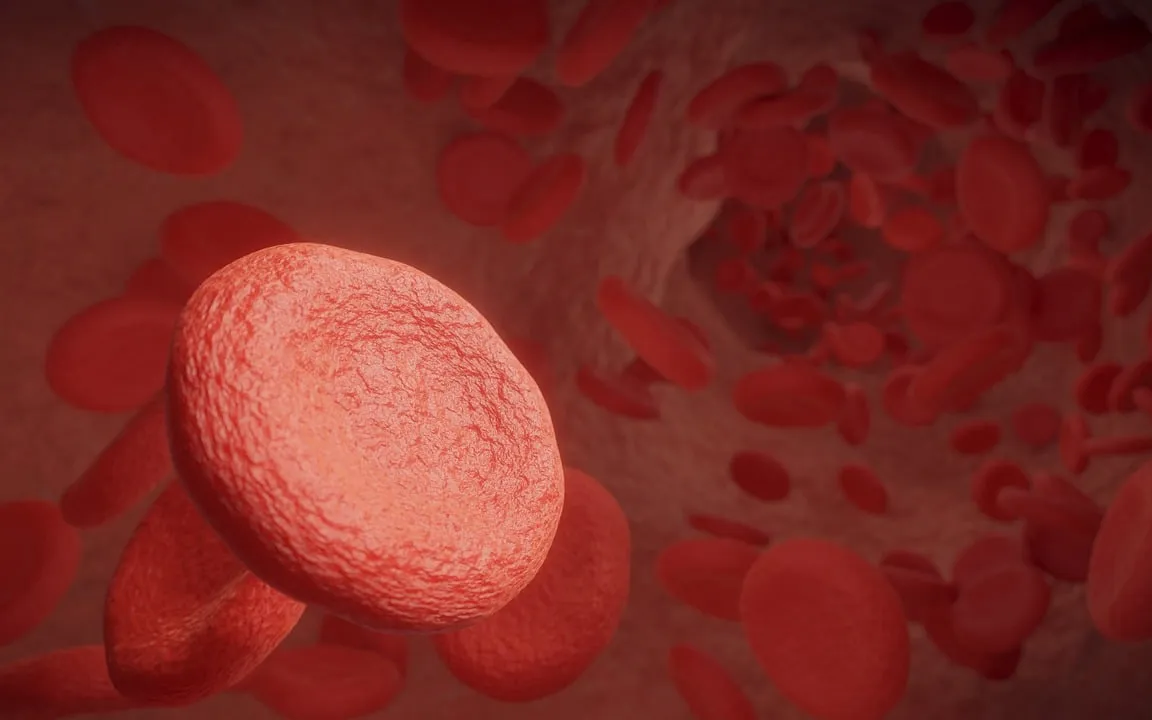 red-blood-cells-5975456_1280