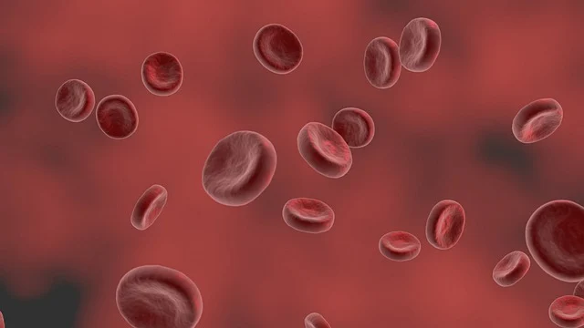 red-blood-cell-5280112_640