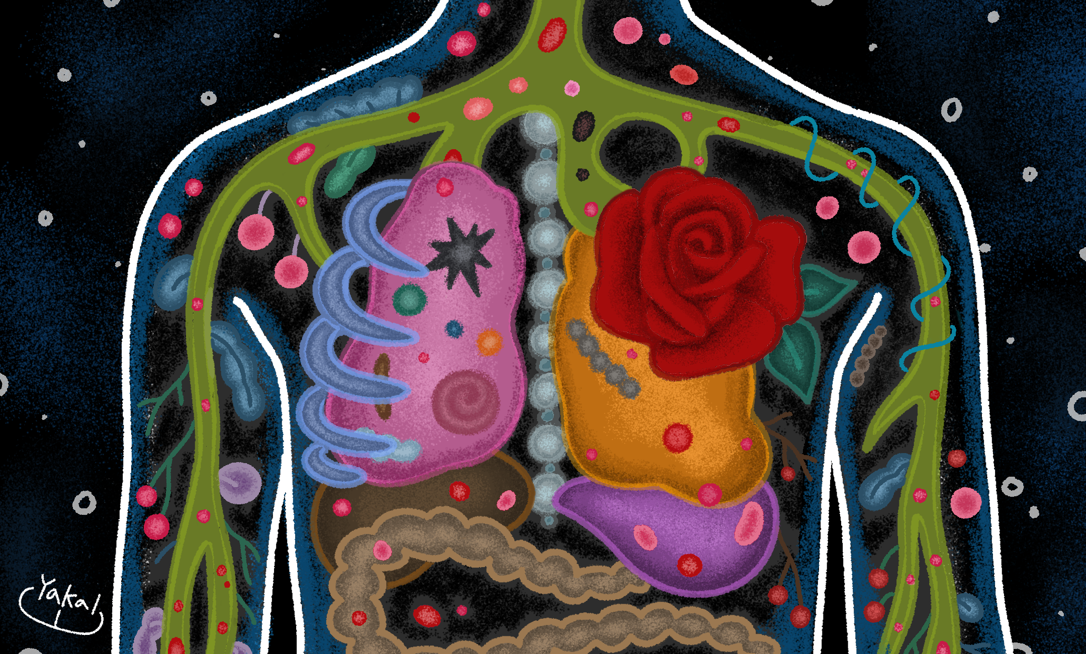 ‘철분’ 영양제를 평가한 방법