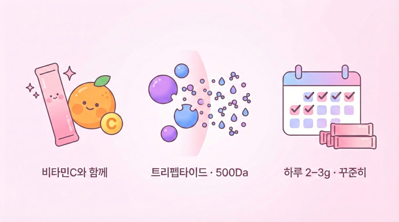 약사가 알려주는, 콜라겐 흡수율 높이는 3가지 방법